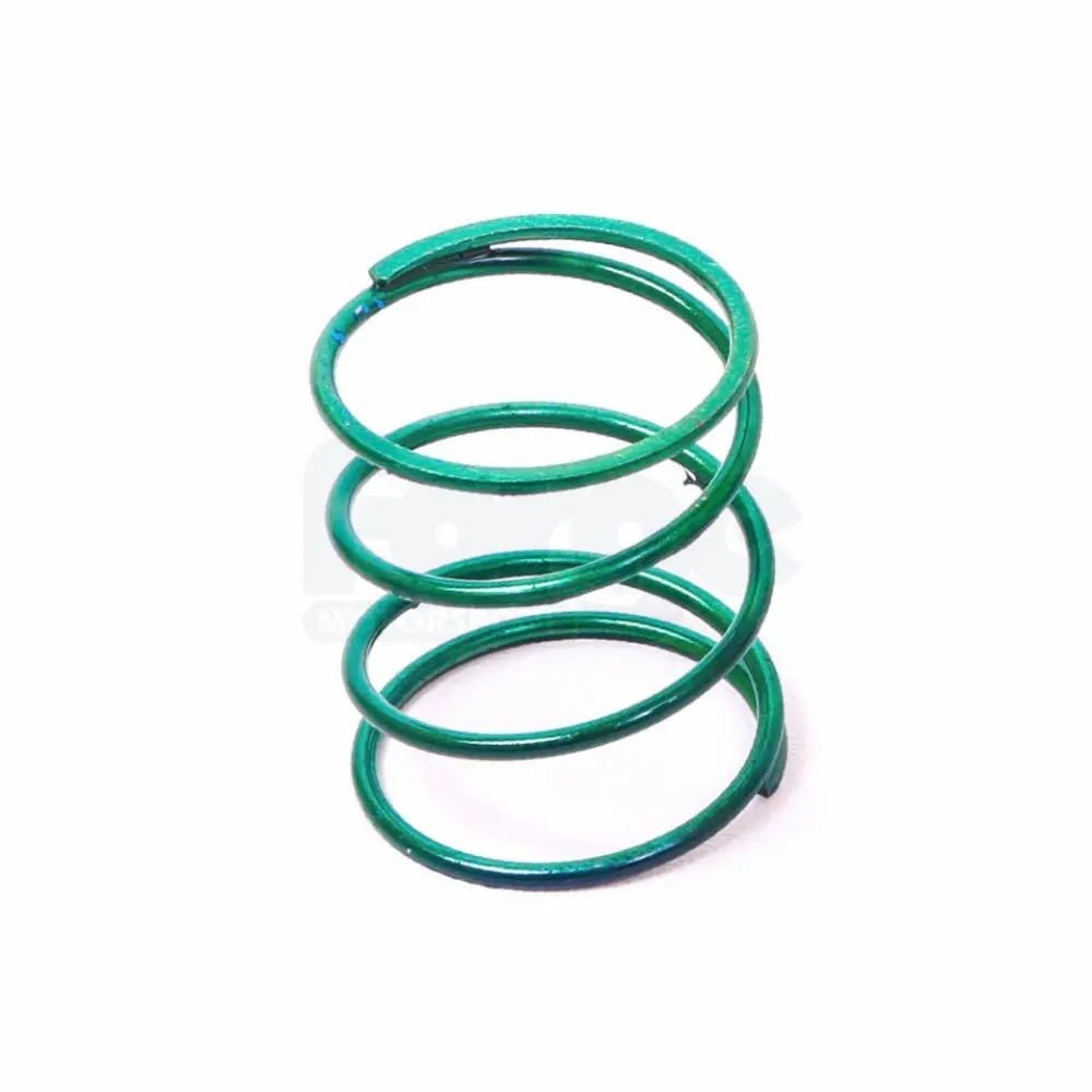 Dump Valve Spring (Single) 1