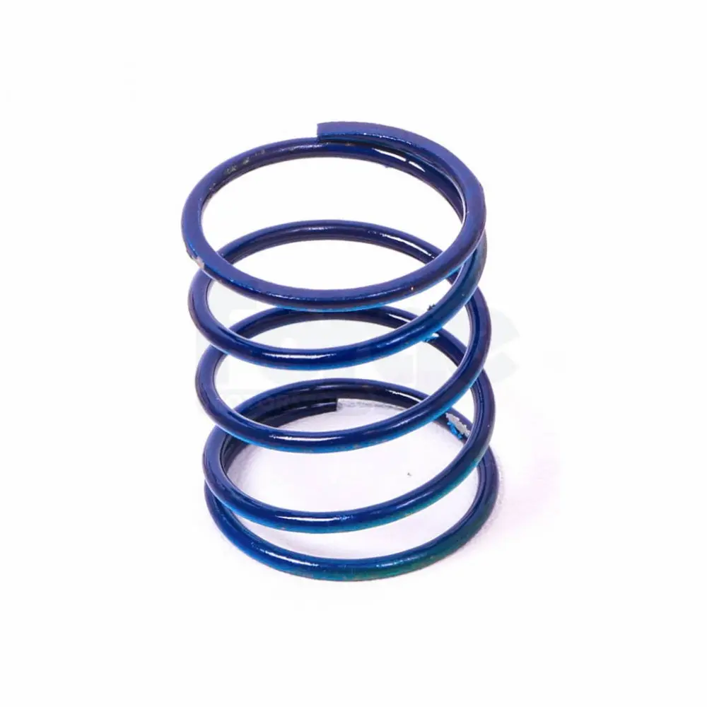 Dump Valve Spring (Single) 2