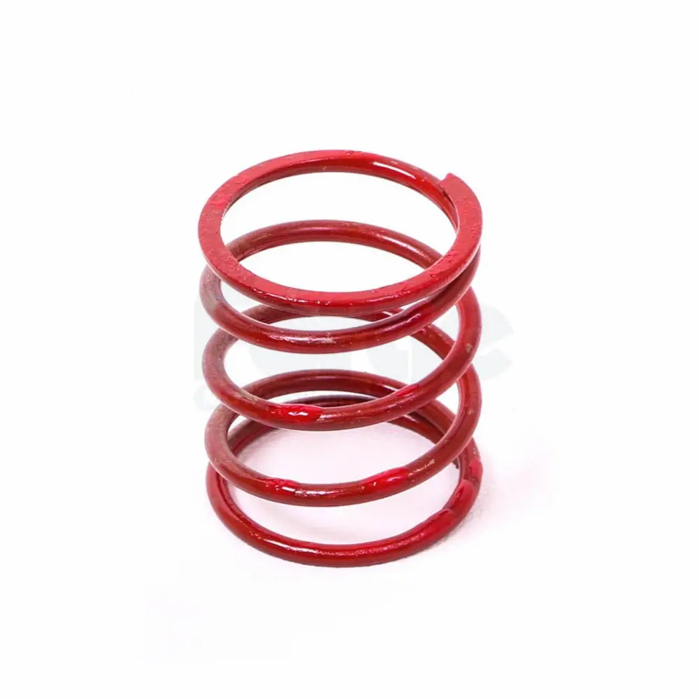 Dump Valve Spring (Single) 4