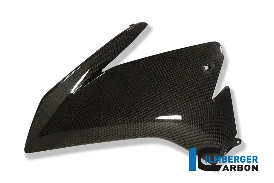 Fairing Side Panel Left Carbon 1