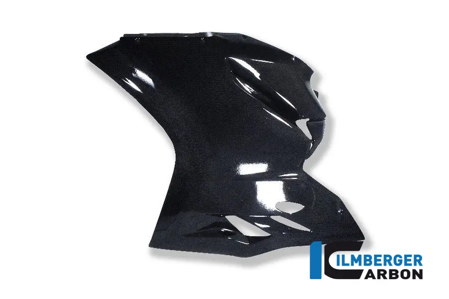 Fairing Side Panel Left Race Carbon 1