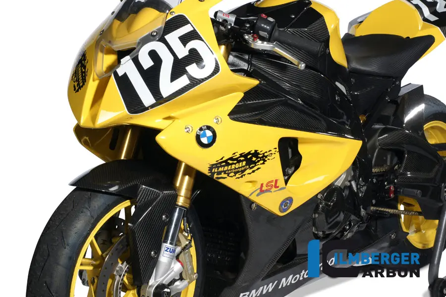 Fairing Side Panel Left Racing Carbon 1