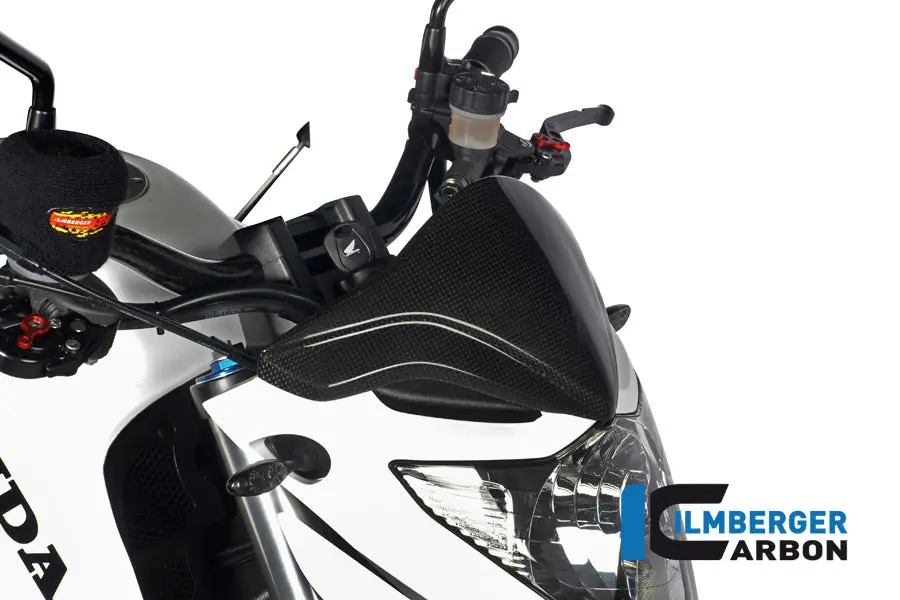 Windshield Carbon 1