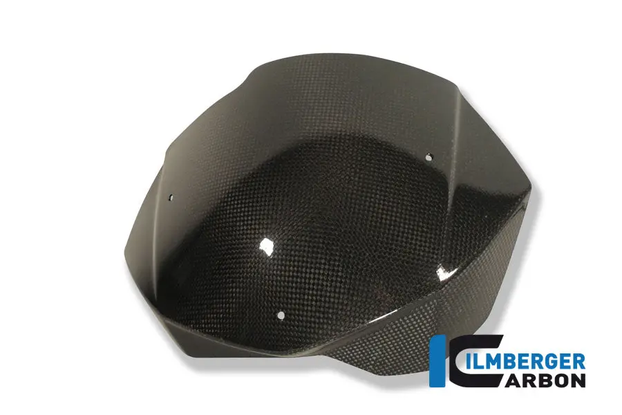 Windshield Carbon 1