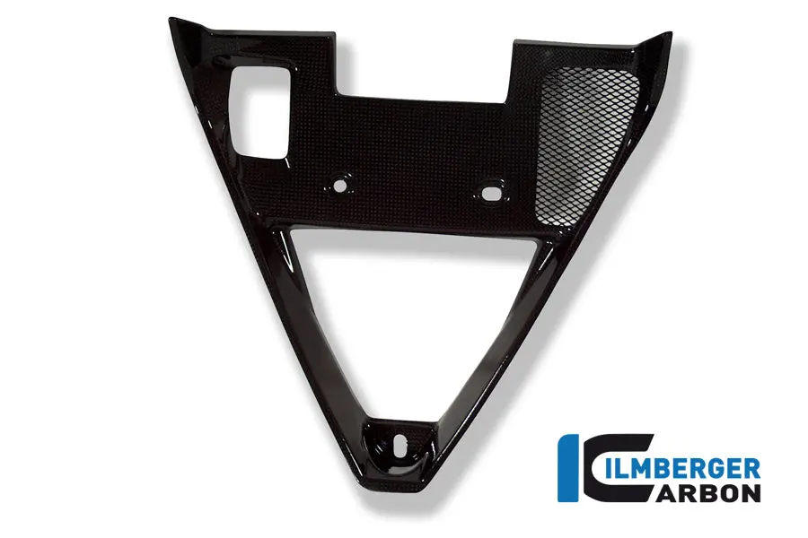 Fairing Insert Carbon 1