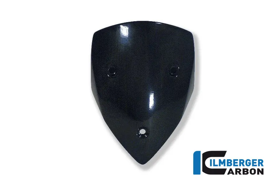Windshield Carbon 1