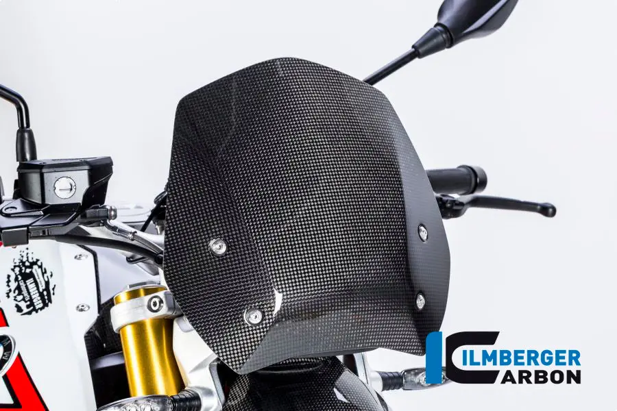 Windshield Carbon 1