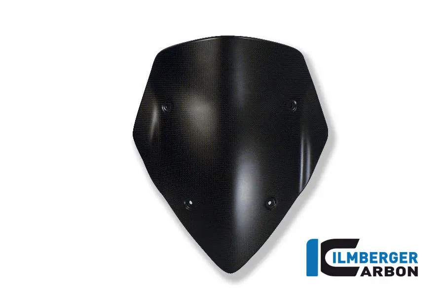Windshield Carbon 1