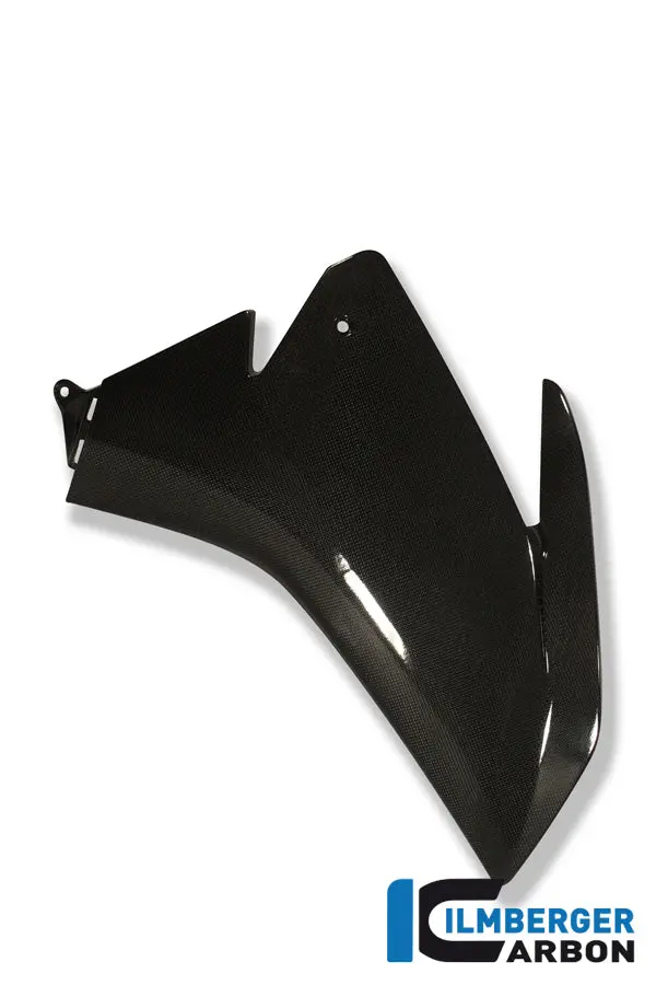 Right Fairing Side Panel Carbon 1