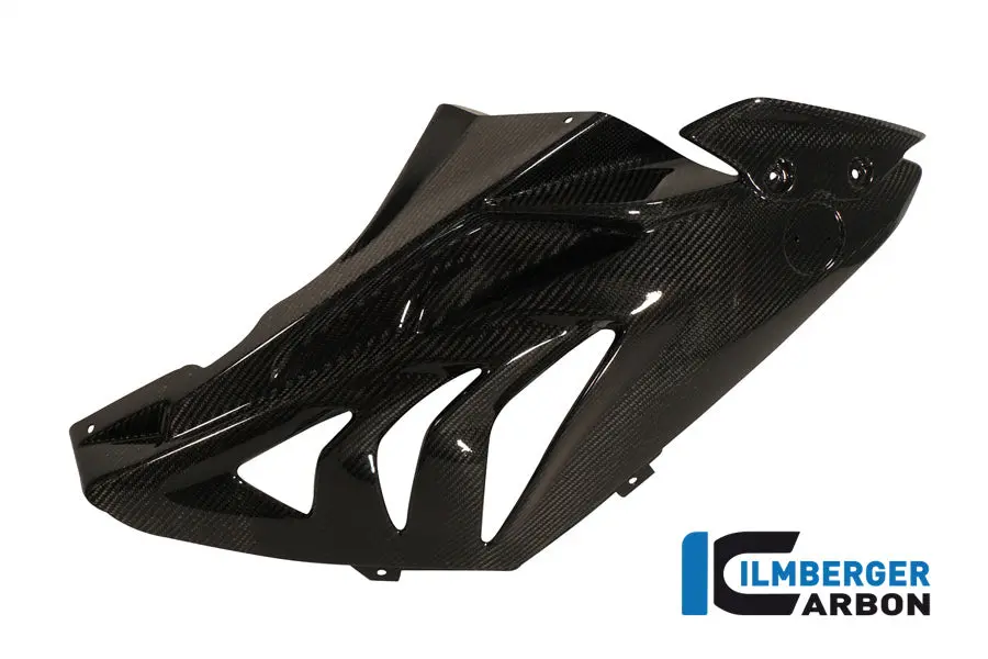 Fairing Side Panel Racing 2012 Carbon 1