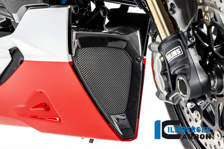 Middle Part Of The Bellypan Gloss Diavel 1260 1