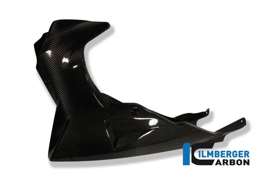 Motor Spoiler Carbon 1