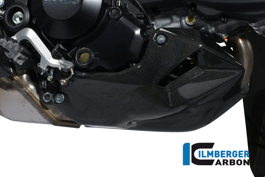 Motor Spoiler Carbon 1