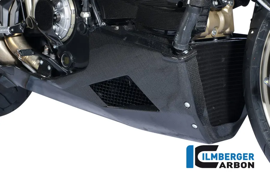 Motor Spoiler Carbon 1
