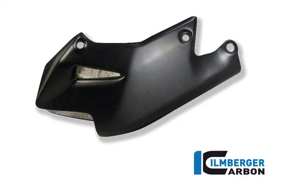 Motor Spoiler Carbon 1