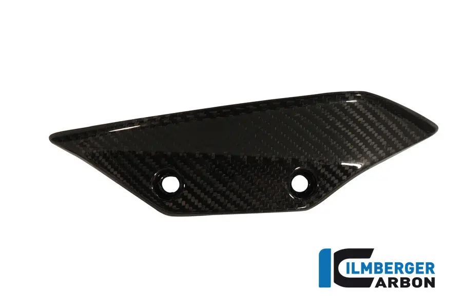 Fairing Winglet Left Carbon 1