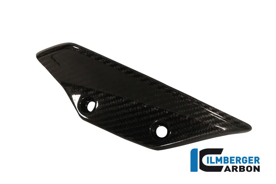 Fairing Winglet Right Carbon 1