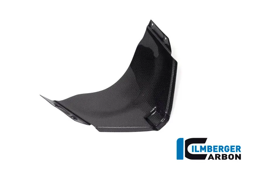 Panel Under The Front Fairing Gloss Panigale V4 Racing 1