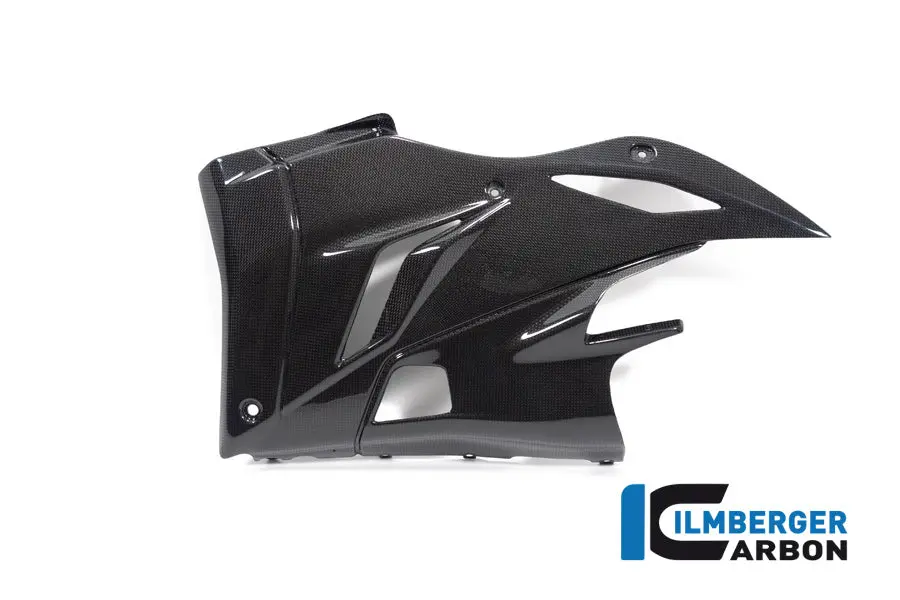 Bellypan Left Gloss V4 Streetfighter 1
