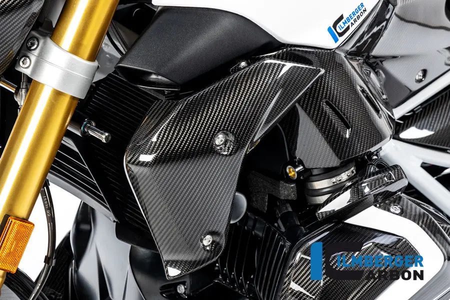 Watercooler Cover Left Side Bmw R 1250 R 1