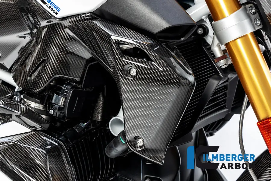 Watercooler Cover Right Side Bmw R 1250 R 1