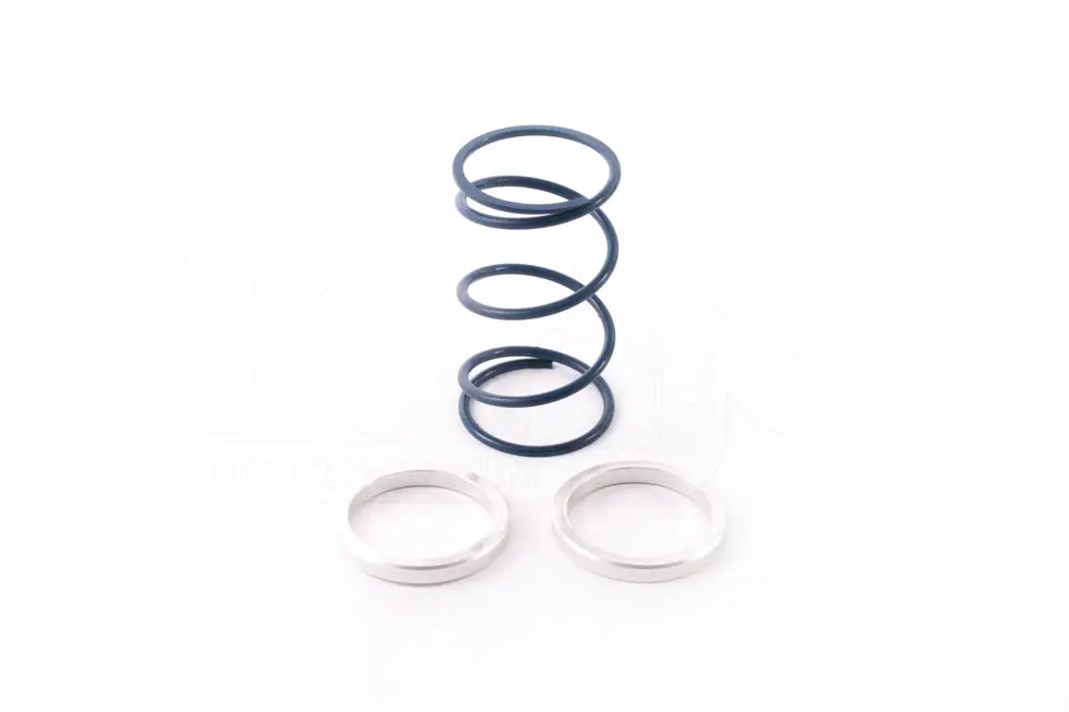 Wastegate Springs & Shims 1