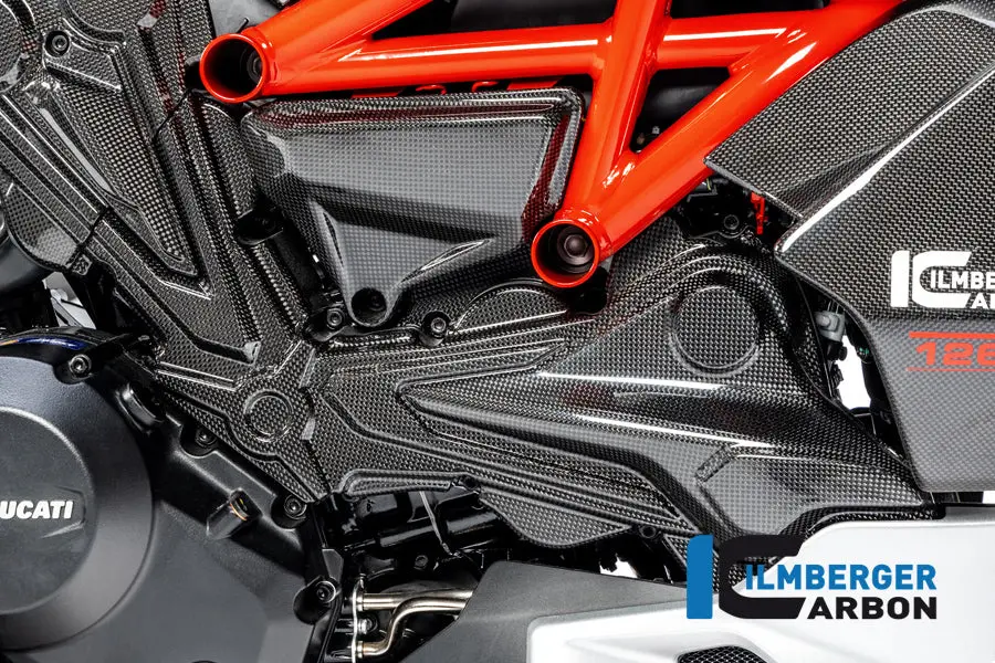 Cambelt Cover Horizontal Cylinder Gloss Diavel 1260 1