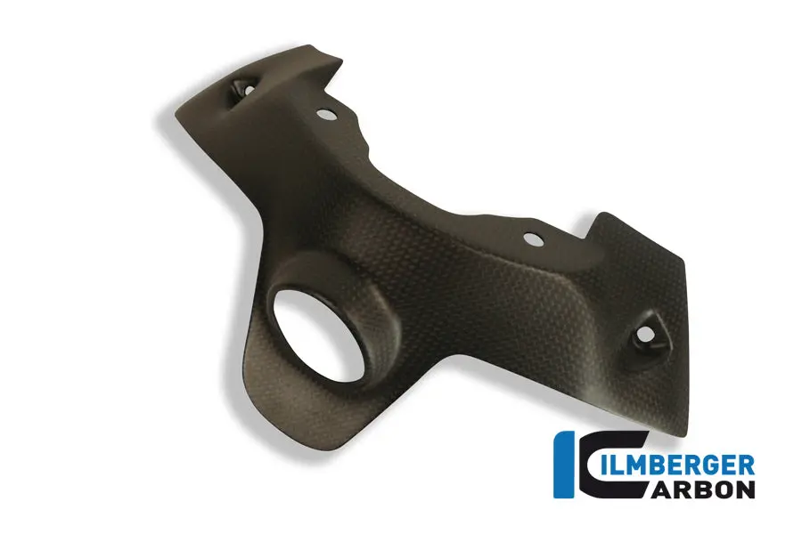 Ignition Lock Cover Carbon 1