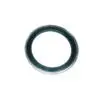 Caged Thrust Bearing - Reverser 1