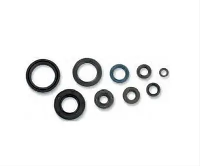 Cometic C7399Os Powersport Oil Seal Kit 1