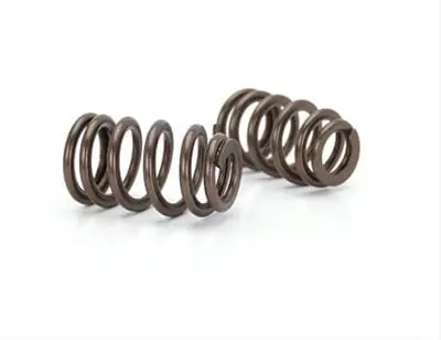 Comp Cams 26995-1 High-Performance Dual Valve Spring Set 1